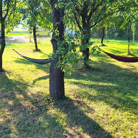 Hotel Cristel Casuta Fara Ganduri Mesentea Zewnętrze zdjęcie
